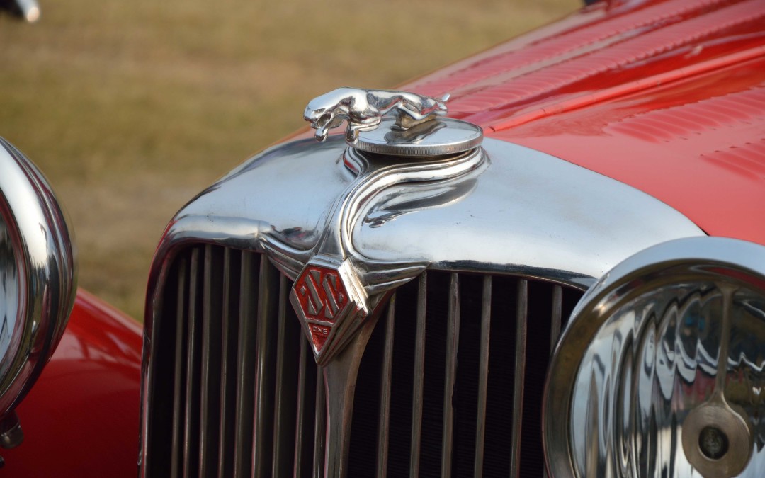 Weekend Events at The Ace Magazine: August 14 – August 16, 2015