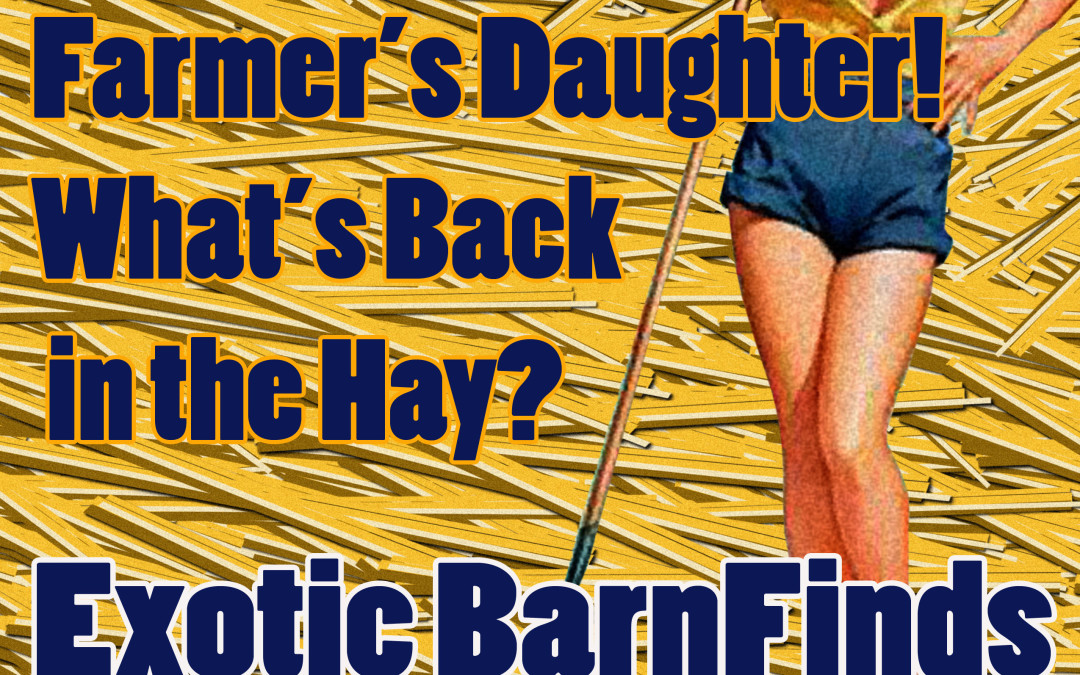 Weekend Events at The Ace Magazine: November 13 – November 15, 2015