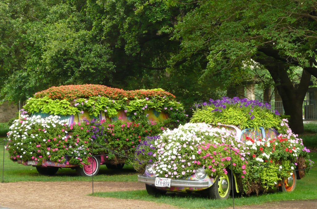 This Week at The Ace Magazine: March 21 – March 25, 2016