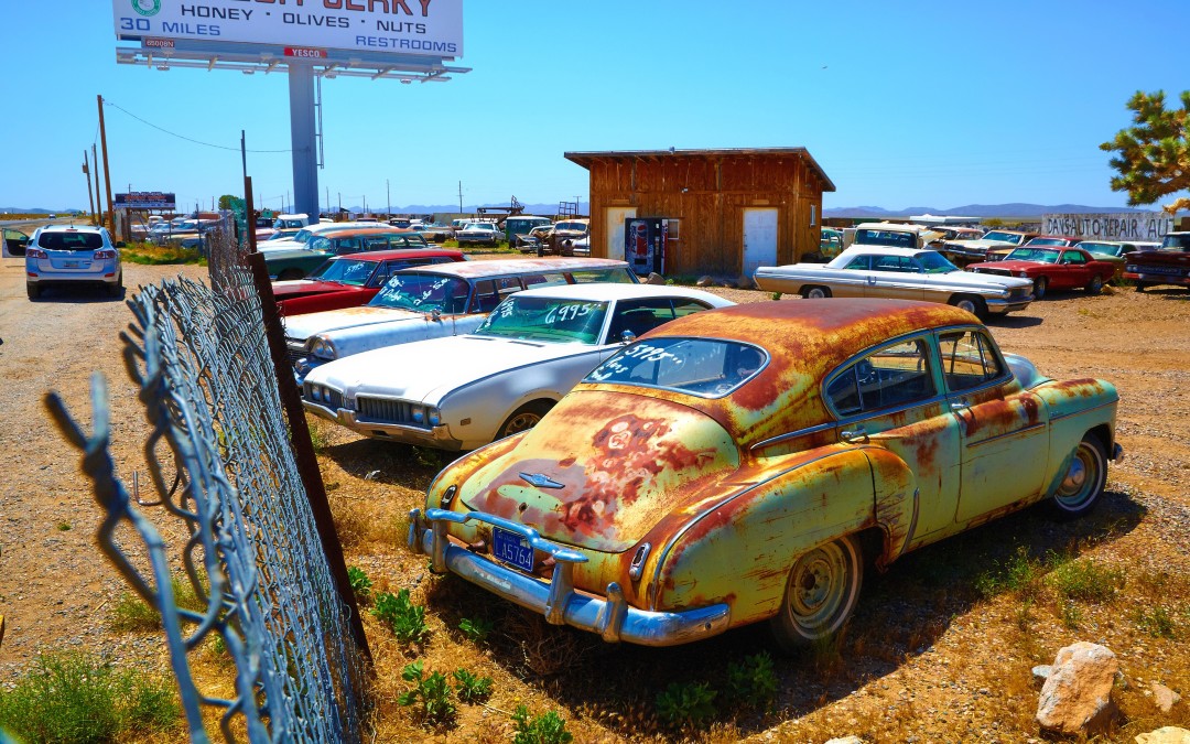 This Week at The Ace Magazine: March 7 – March 11, 2016