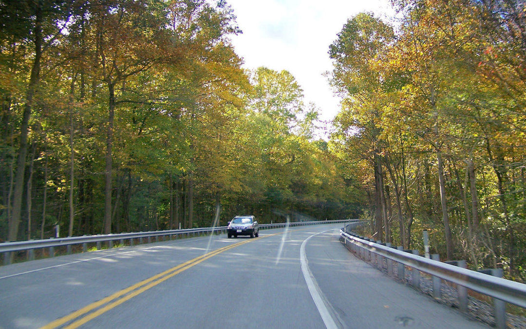 This Week at The Ace Magazine: June 13 – June 17, 2016