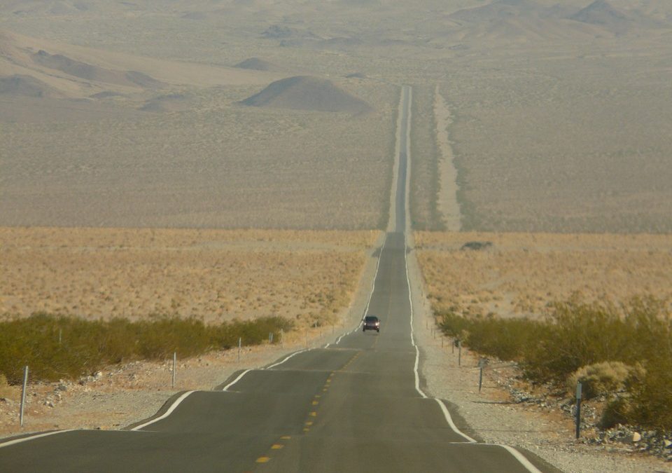 This Week at The Ace Magazine: August 1 – August 5, 2016