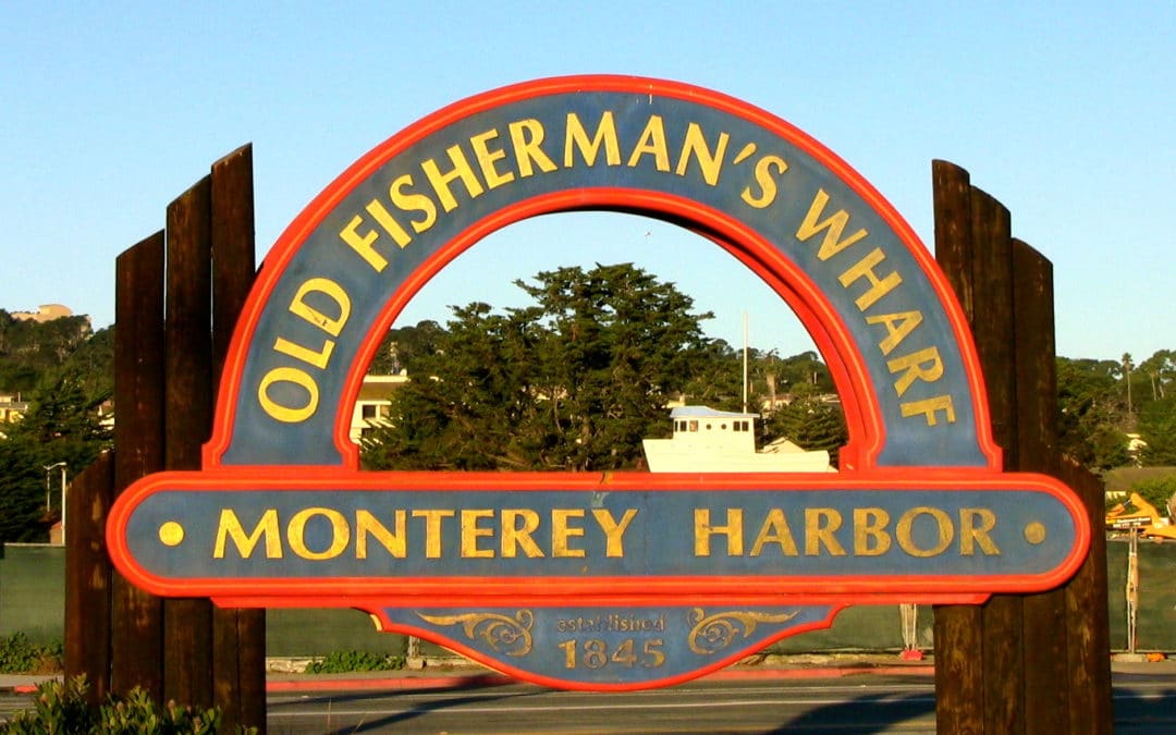 This Week at The Ace Magazine: August 15 – August 19, 2016